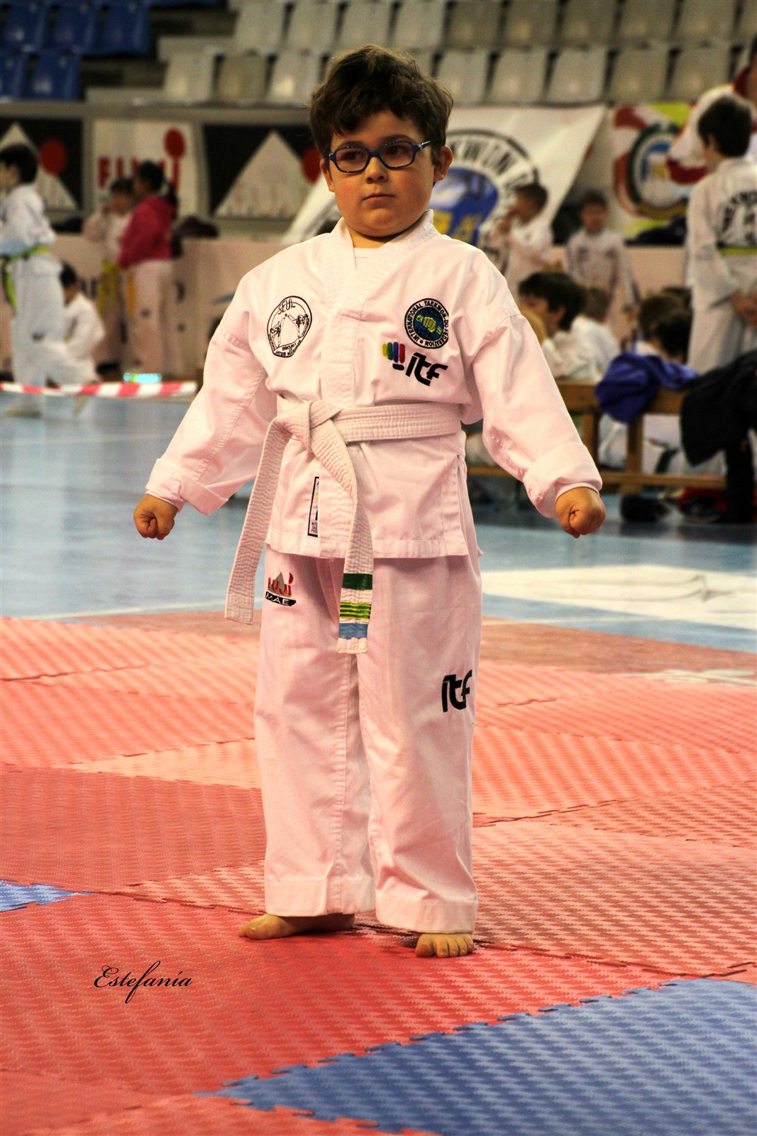 Taekwondo (99).jpg
